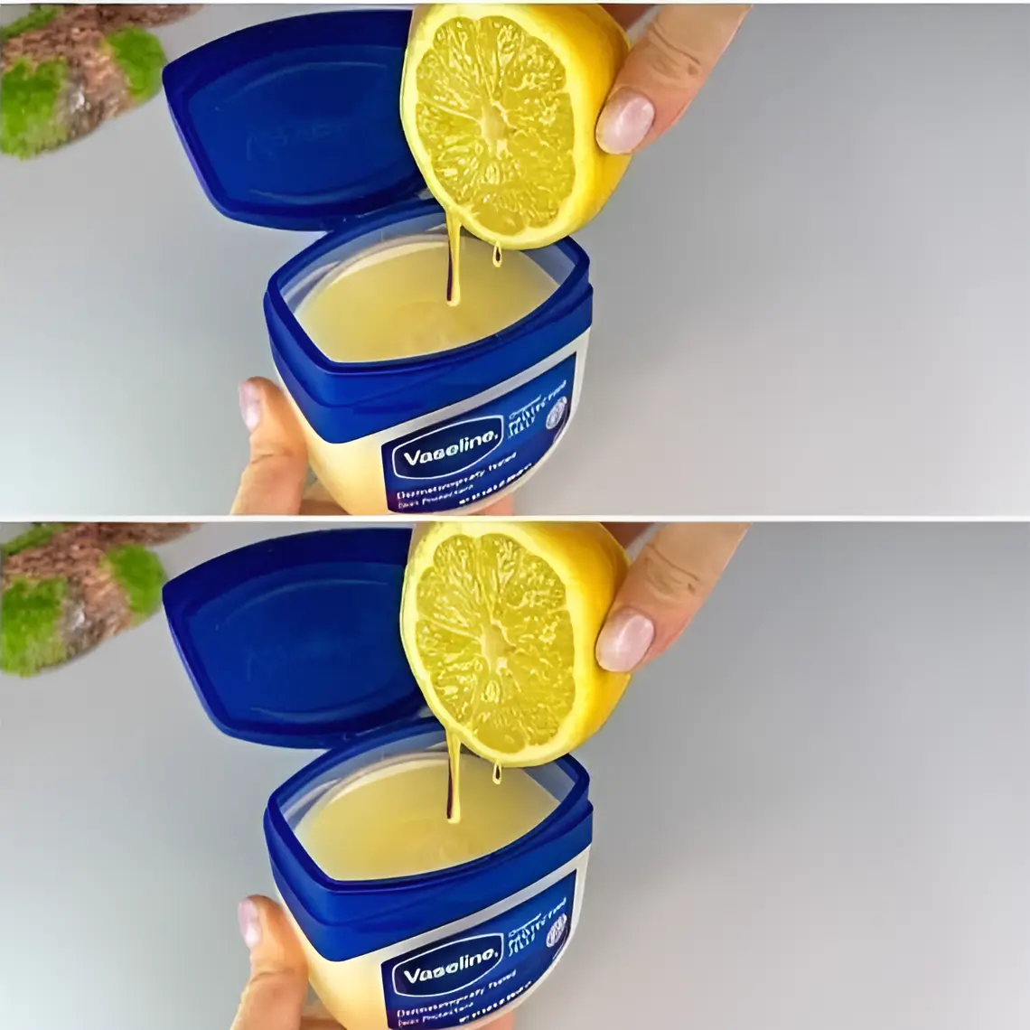 a lemon being squeezed into a container